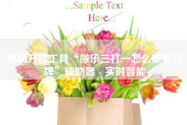 辅助开挂工具“微乐三打一怎么能抓好牌”辅助器 - 实时智能