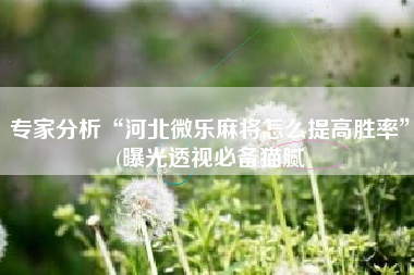 专家分析“河北微乐麻将怎么提高胜率”(曝光透视必备猫腻