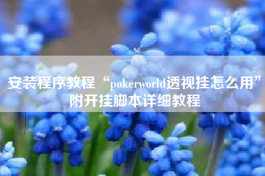 安装程序教程“pokerworld透视挂怎么用”附开挂脚本详细教程