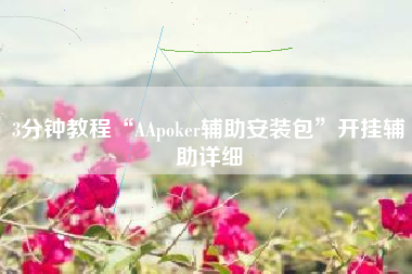 3分钟教程“AApoker辅助安装包”开挂辅助详细