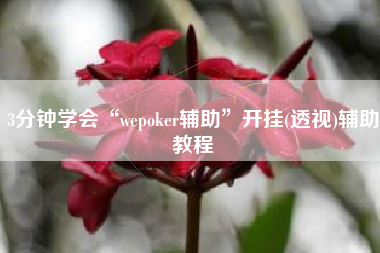 3分钟学会“wepoker辅助”开挂(透视)辅助教程