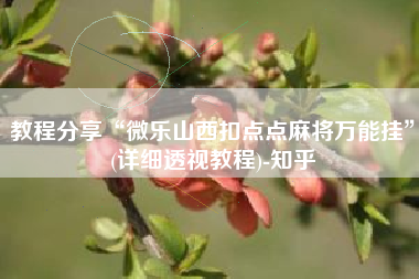 教程分享“微乐山西扣点点麻将万能挂”(详细透视教程)-知乎