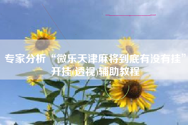 专家分析“微乐天津麻将到底有没有挂”开挂(透视)辅助教程