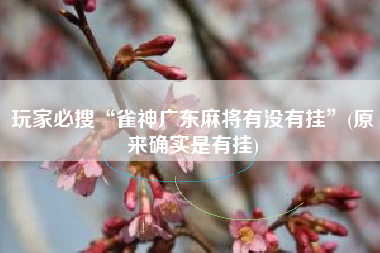 玩家必搜“雀神广东麻将有没有挂”(原来确实是有挂)
