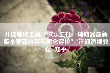 开挂辅助工具“微乐三打一辅助器最新版本更新内容与理念评价	”(详细透视教程)-知乎