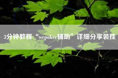 3分钟教程“wepoker辅助	”详细分享装挂