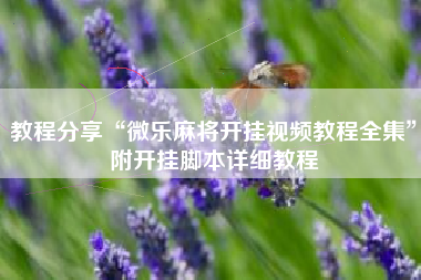 教程分享“微乐麻将开挂视频教程全集”附开挂脚本详细教程