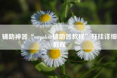 辅助神器“wepoker辅助器教程”开挂详细教程