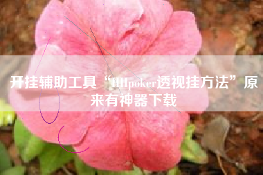 开挂辅助工具“HHpoker透视挂方法	”原来有神器下载