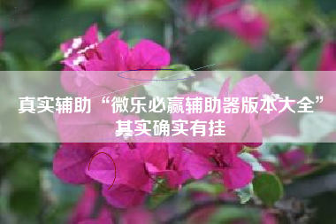 真实辅助“微乐必赢辅助器版本大全	”其实确实有挂