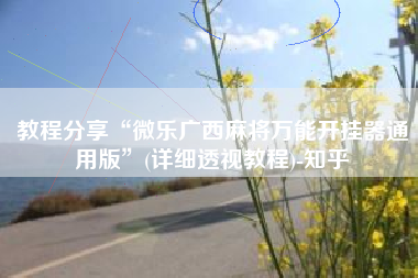 教程分享“微乐广西麻将万能开挂器通用版”(详细透视教程)-知乎