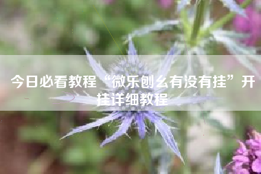 今日必看教程“微乐刨幺有没有挂	”开挂详细教程