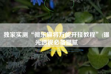 独家实测“微乐麻将万能开挂教程”(曝光透视必备猫腻