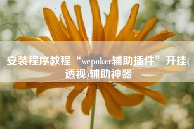 安装程序教程“wepoker辅助插件”开挂(透视)辅助神器