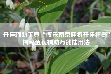开挂辅助工具“微乐南京麻将开挂神器	”揭秘透视辅助万能挂用法