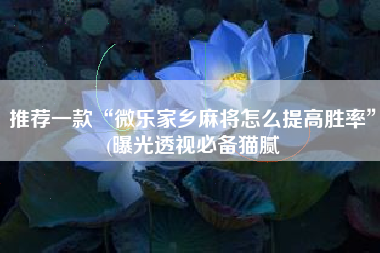 推荐一款“微乐家乡麻将怎么提高胜率”(曝光透视必备猫腻