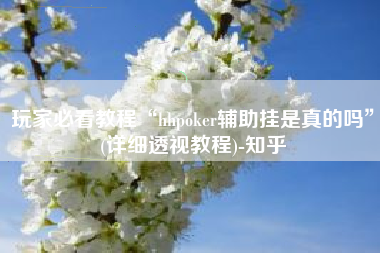 玩家必看教程“hhpoker辅助挂是真的吗	”(详细透视教程)-知乎