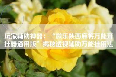 玩家辅助神器：“微乐陕西麻将万能开挂器通用版”揭秘透视辅助万能挂用法