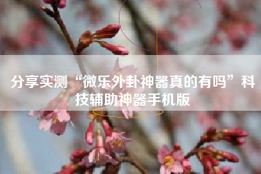 分享实测“微乐外卦神器真的有吗”科技辅助神器手机版