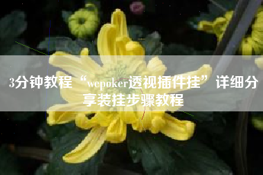 3分钟教程“wepoker透视插件挂	”详细分享装挂步骤教程