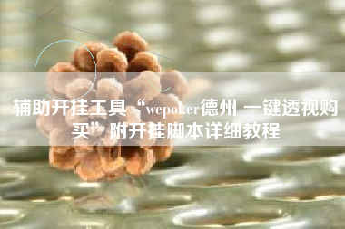 辅助开挂工具“wepoker德州 一键透视购买	”附开挂脚本详细教程