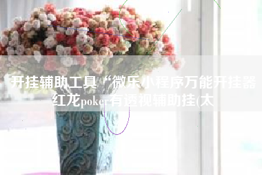 开挂辅助工具“微乐小程序万能开挂器红龙poker有透视辅助挂(太