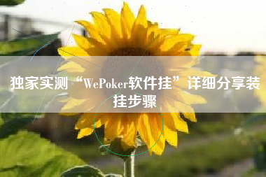 独家实测“WePoker软件挂”详细分享装挂步骤