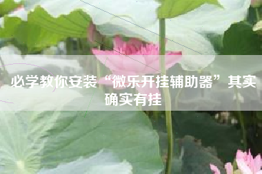 必学教你安装“微乐开挂辅助器	”其实确实有挂