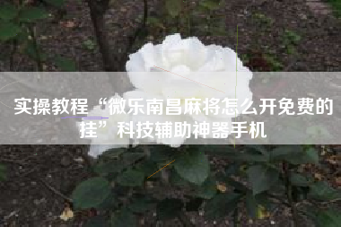 实操教程“微乐南昌麻将怎么开免费的挂”科技辅助神器手机