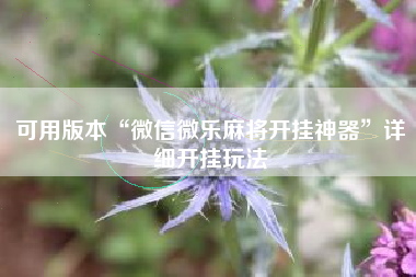 可用版本“微信微乐麻将开挂神器”详细开挂玩法