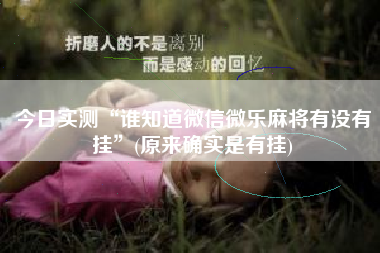 今日实测“谁知道微信微乐麻将有没有挂”(原来确实是有挂)