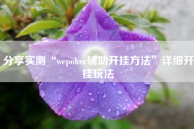 分享实测“wepoker辅助开挂方法”详细开挂玩法