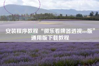 安装程序教程“微乐看牌器透视ios版”通用版下载教程