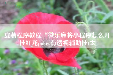 安装程序教程“微乐麻将小程序怎么开挂红龙poker有透视辅助挂(太