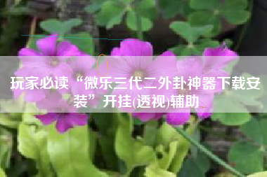 玩家必读“微乐三代二外卦神器下载安装”开挂(透视)辅助