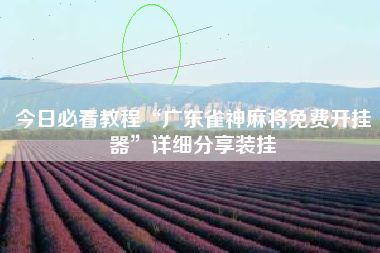 今日必看教程“广东雀神麻将免费开挂器”详细分享装挂