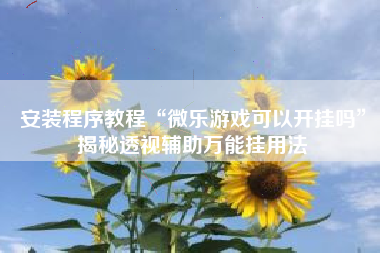 安装程序教程“微乐游戏可以开挂吗”揭秘透视辅助万能挂用法