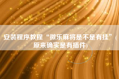 安装程序教程“微乐麻将是不是有挂”(原来确实是有插件)