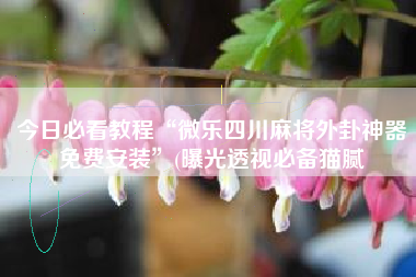 今日必看教程“微乐四川麻将外卦神器免费安装”(曝光透视必备猫腻