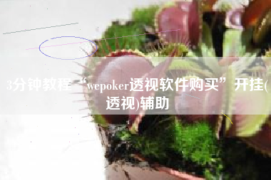 3分钟教程“wepoker透视软件购买”开挂(透视)辅助