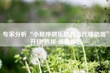 专家分析“小程序微乐陕西三代辅助器”开挂(透视)辅助神器