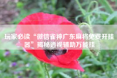 玩家必读“微信雀神广东麻将免费开挂器”揭秘透视辅助万能挂