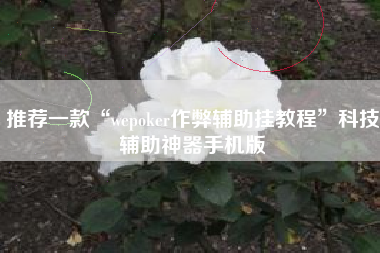 推荐一款“wepoker作弊辅助挂教程”科技辅助神器手机版