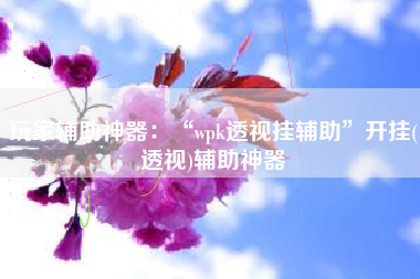 玩家辅助神器：“wpk透视挂辅助”开挂(透视)辅助神器