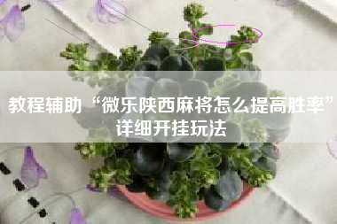 教程辅助“微乐陕西麻将怎么提高胜率	”详细开挂玩法