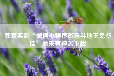 独家实测“微信小程序微乐斗地主免费挂”原来有神器下载