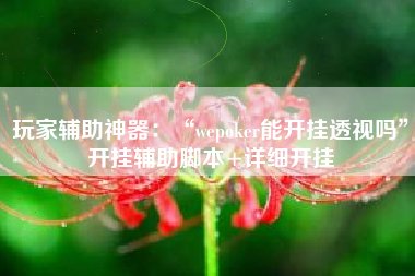 玩家辅助神器：“wepoker能开挂透视吗”开挂辅助脚本+详细开挂