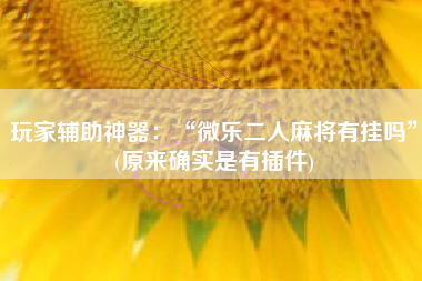 玩家辅助神器：“微乐二人麻将有挂吗”(原来确实是有插件)