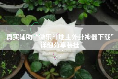 真实辅助“微乐斗地主外卦神器下载	”详细分享装挂