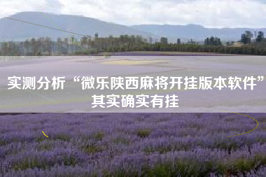 实测分析“微乐陕西麻将开挂版本软件	”其实确实有挂